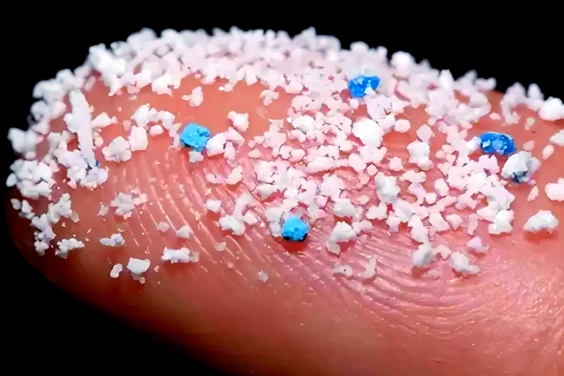 微塑料“入侵”：真相、争议与行动