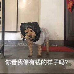 10分钟从老板手里骗走430万！骗子们把AI玩明白了