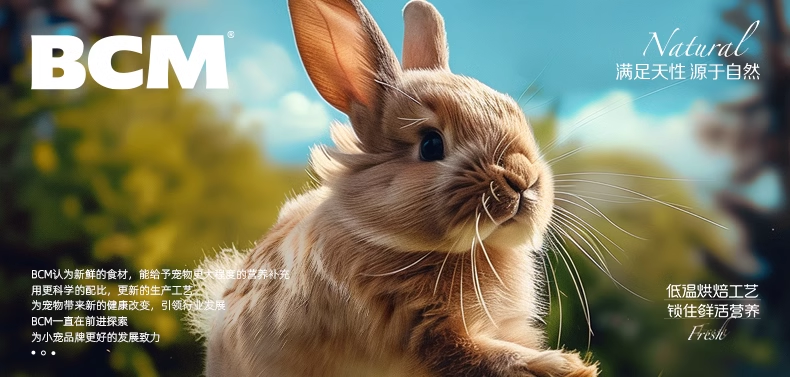 BCM荣获派读大赏 2024“年度用户喜爱的品牌”(图6)