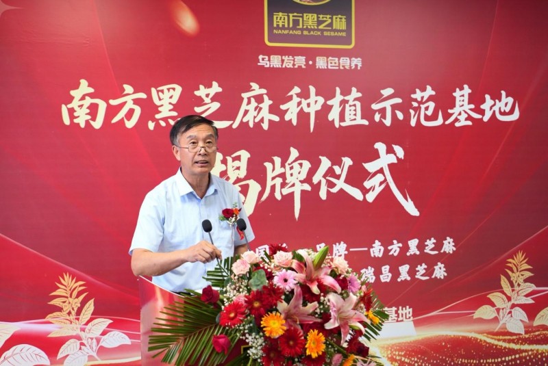 南方黑芝麻种植示范基地瑞昌揭牌：全产业链布局再升级(图4)