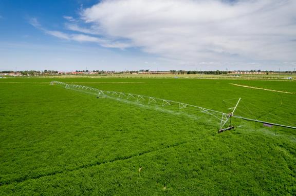 蒙牛不忘初心“强乳兴农” 探索产业振兴助力乡村振兴新路径(图2) 蒙牛不忘初心“强乳兴农” 探索产业振兴助力乡村振兴新路径(图2)