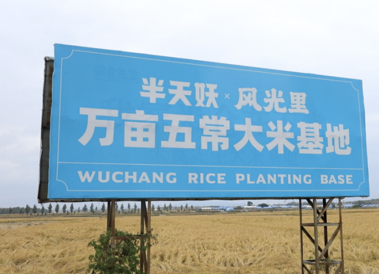 半天妖×风光里:饮食界CP强强联手,打造舌尖上的幸福升级!(图3) 半天妖×风光里:饮食界CP强强联手,打造舌尖上的幸福升级!(图3)