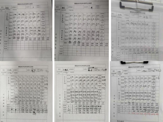 好主人100天喂养计划成功收官 分阶主粮引领精细化养宠趋势(图2) 好主人100天喂养计划成功收官 分阶主粮引领精细化养宠趋势(图2)
