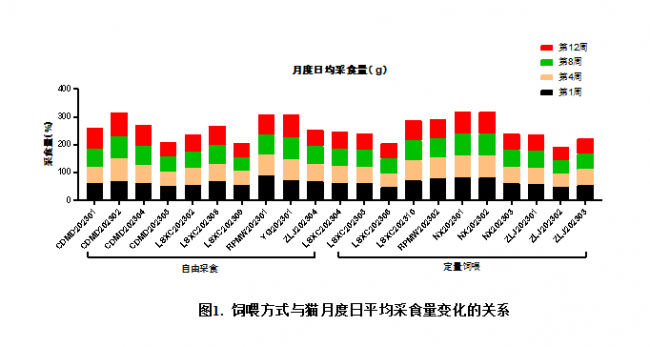 好主人100天喂养计划成功收官 分阶主粮引领精细化养宠趋势(图6) 好主人100天喂养计划成功收官 分阶主粮引领精细化养宠趋势(图6)