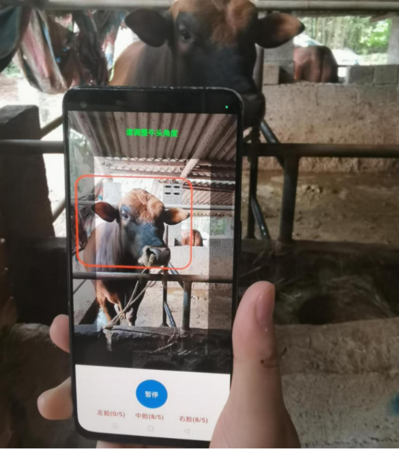 EA5AcvKqFnI871pV.png image.png