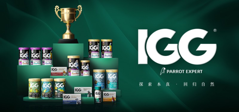 IGG 2024年度品牌盛典：载誉前行，感恩奋进的一年(图6)