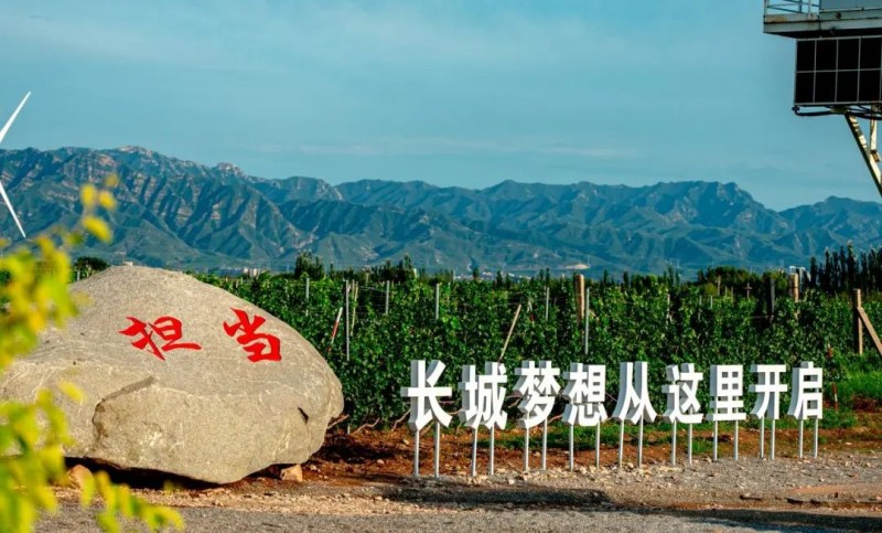 两会视角:以新质生产力激活“东方味道”(图4) 两会视角:以新质生产力激活“东方味道”(图4)