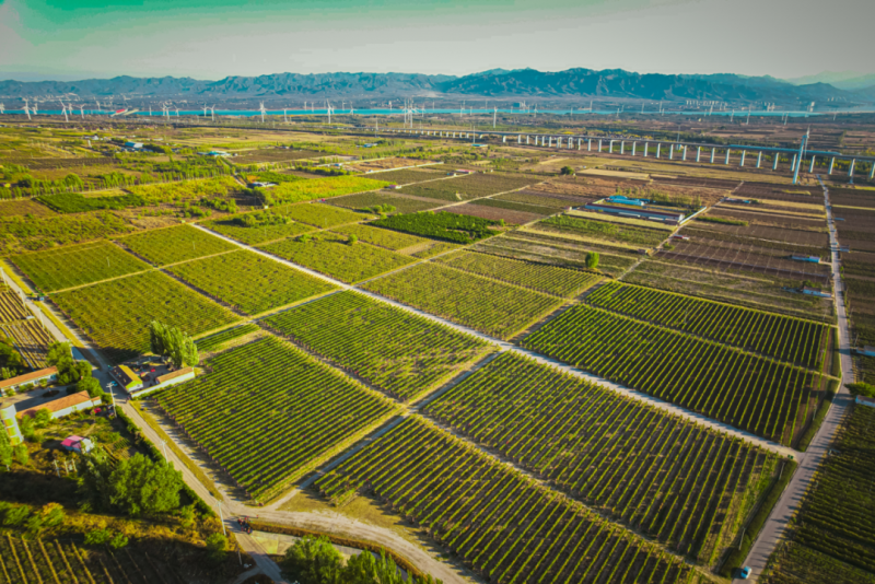 两会视角:以新质生产力激活“东方味道”(图2) 两会视角:以新质生产力激活“东方味道”(图2)