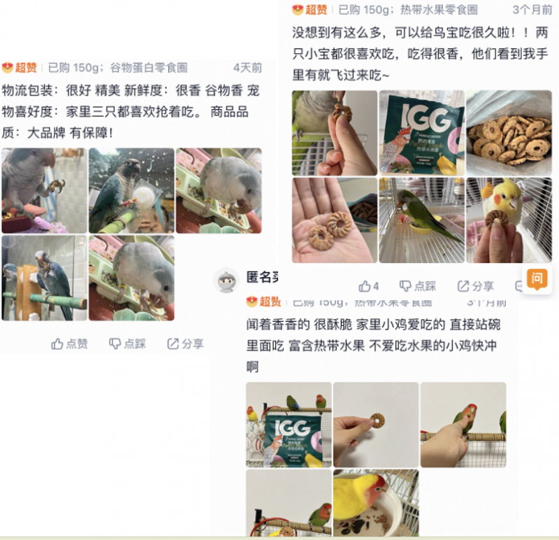 6 月上新、亚宠展售罄!IGG 鹦鹉零食圈凭实力火出圈(图4) 6 月上新、亚宠展售罄!IGG 鹦鹉零食圈凭实力火出圈(图4)