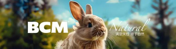 换季时兔毛满天飞?BCM揭秘:如何实现肠道健康与毛发光泽的黄金平衡(图17) 换季时兔毛满天飞?BCM揭秘:如何实现肠道健康与毛发光泽的黄金平衡(图17)